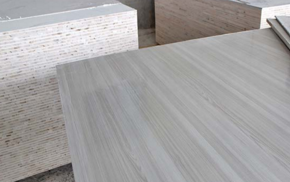 桐木茄子视频APP懂你