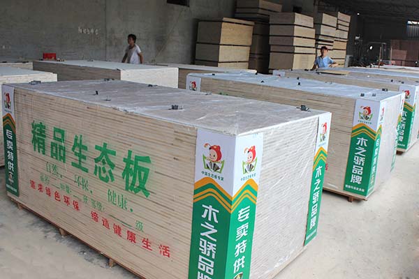 桐木精品茄子视频APP懂你