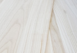 桐木茄子视频APP懂你